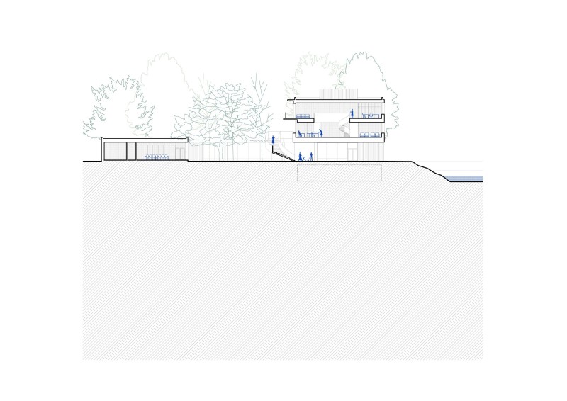 Hanster Con Coupe Aa 1 250