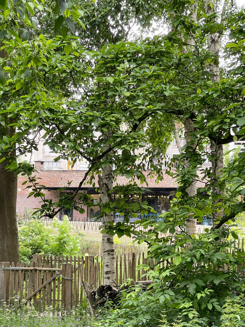 240530 Paulus Chantier 11