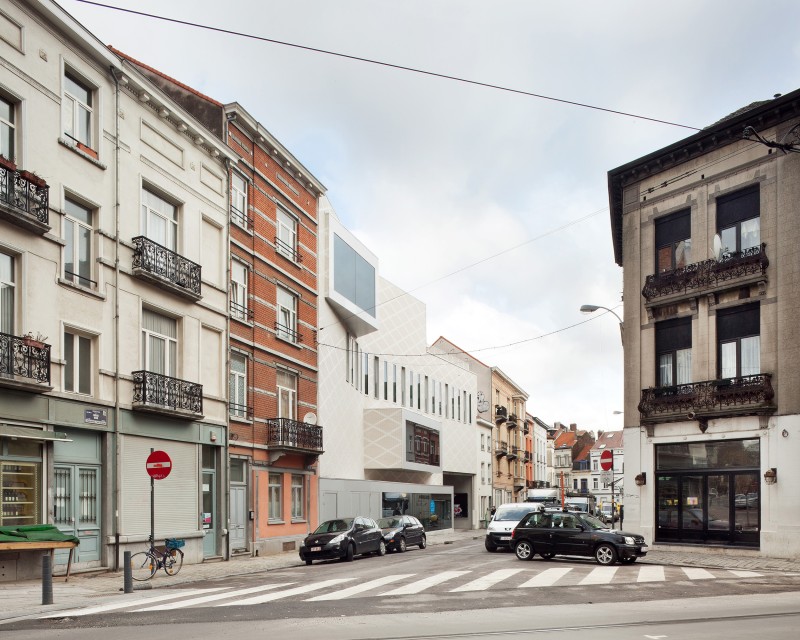 01 120308 Cygnes Digues Tim Van De Velde 12