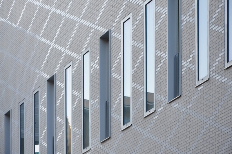 04 120201 Lpp Cygnes Digue 228 Pt