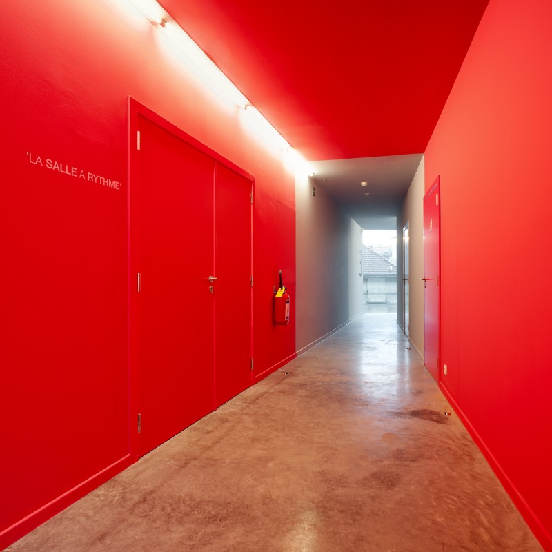 05 120308 Cygnes Digues Tim Van De Velde 2