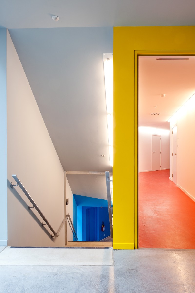 07 120308 Cygnes Digues Tim Van De Velde 40