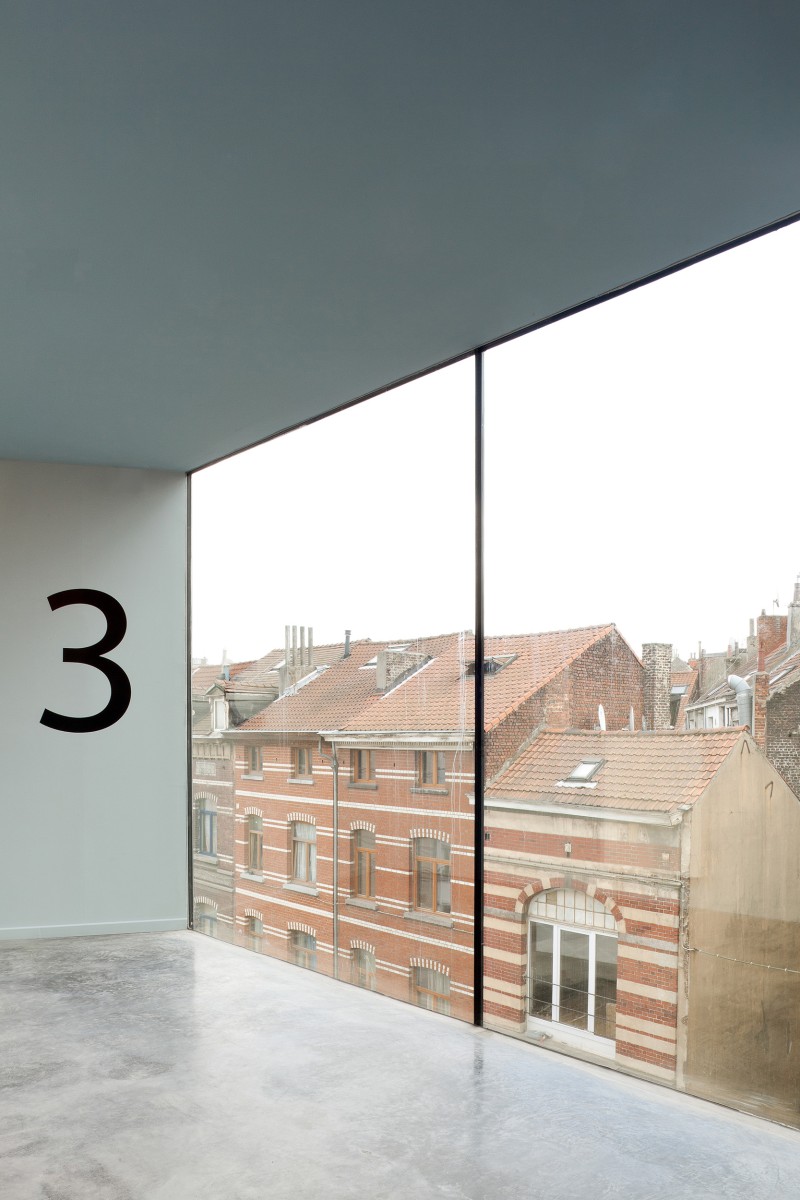 08 120308 Cygnes Digues Tim Van De Velde 44