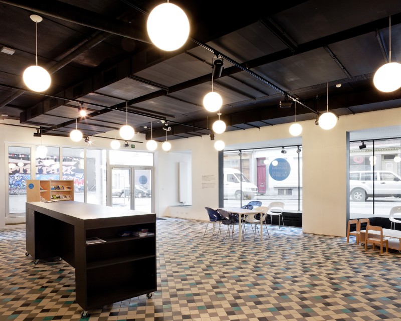 09 120308 Cygnes Digues Tim Van De Velde 72