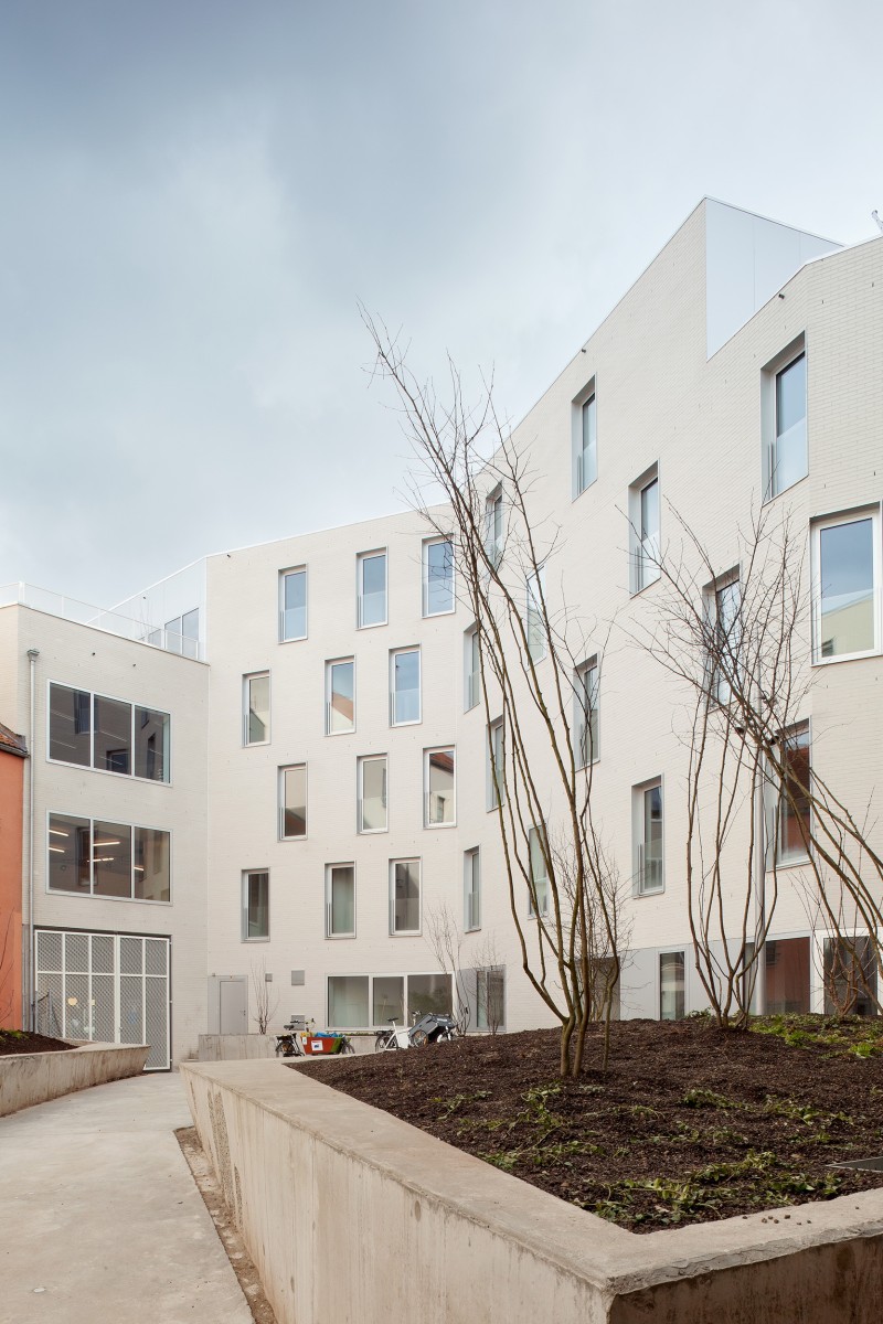 11 120308 Cygnes Digues Tim Van De Velde 62