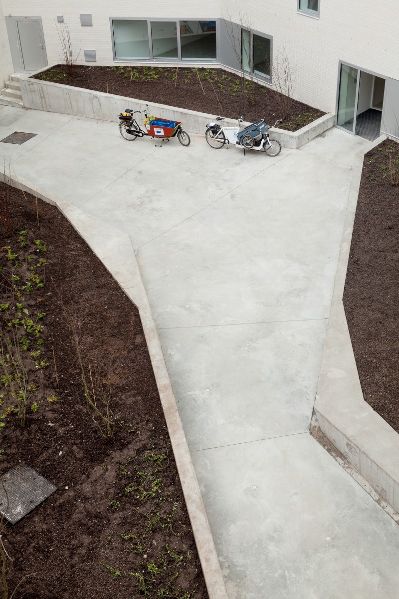 12 120308 Cygnes Digues Tim Van De Velde 61